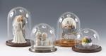Glass and Acrylic Display Domes